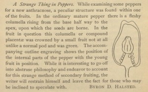 Image from "Bite-sized Biology" as this issue was discovered in the "Bulletin of the Torrey Botanical Club." 