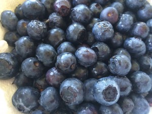 Blueberries are high in antioxidants!