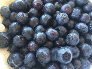 Blueberries are high in antioxidants! 