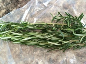Pinch the top rosemary leaves and pull down, stripping the stem. A rosemary stem can be a flavorful skewer! Slide shrimp onto the tough stem and grill! 