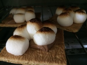 The broil setting on the toaster oven roasted  the marshmallows perfectly! 