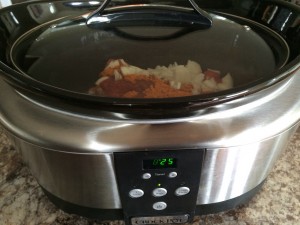 Mexican is great in the crockpot! Make enchilada, taco, empanada, and burrito filling!  