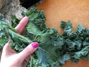 Separate the curly kale leaves from the middle stem and chop.   