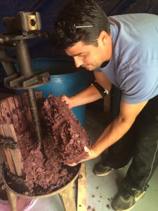 Rudy showed me the grape sediment and skins collected from the presser to make wine vinegar. Last years crop made 4 1/2 gallons!