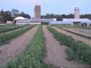 Lengel Brothers Farm- Mercer, PA